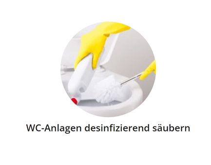 WC Klo Reinigung für 73249 Wernau (Neckar)